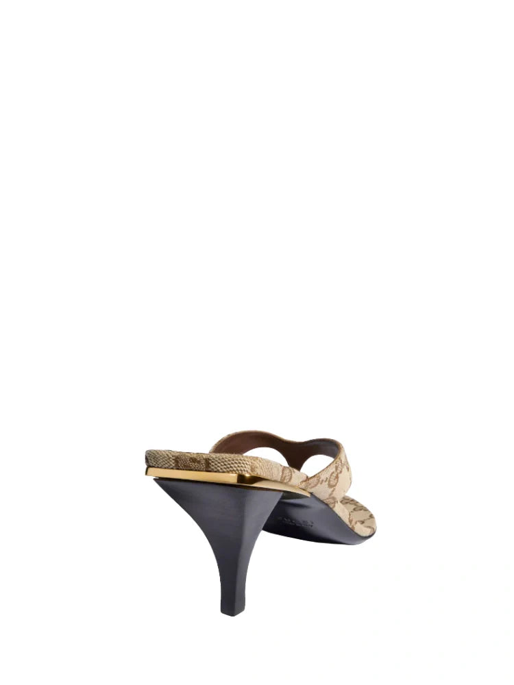 WOMEN'S VITTORIA THONG